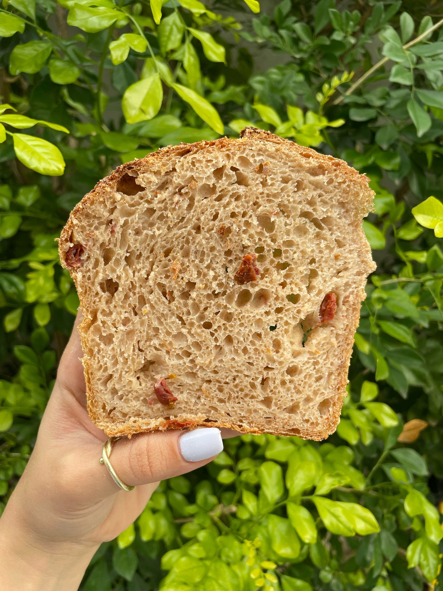 לחם נעמי - עגבניות מיובשות