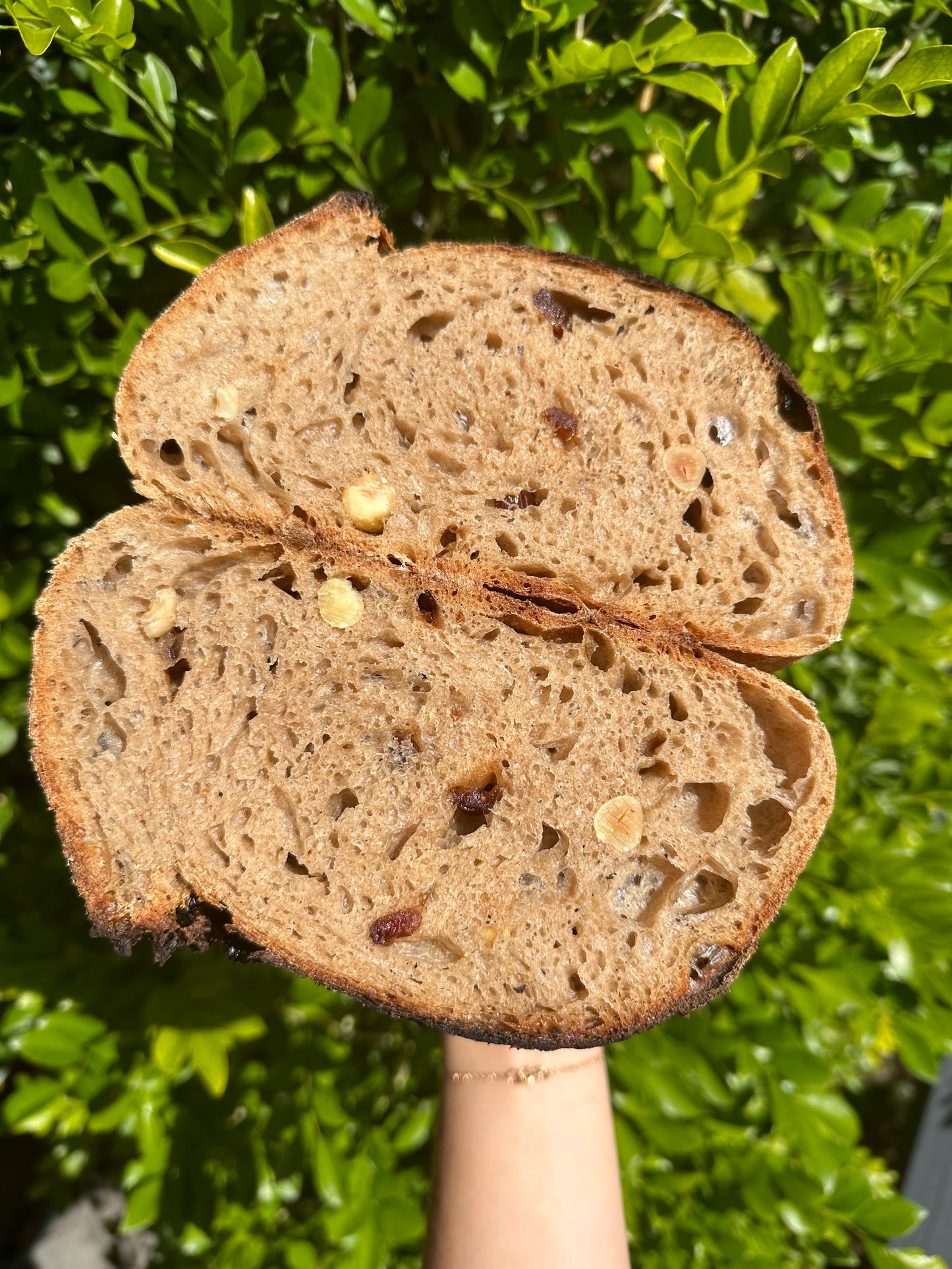 לחם נועה - אגוזי לוז וחמוציות