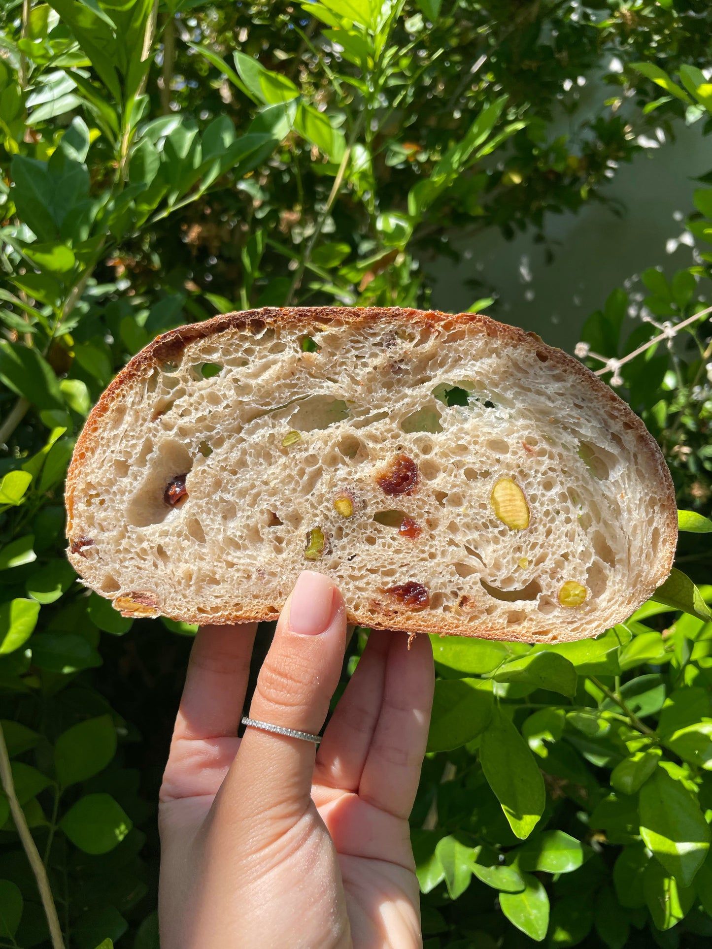 לחם שלומית - פיסטוקים וחמוציות