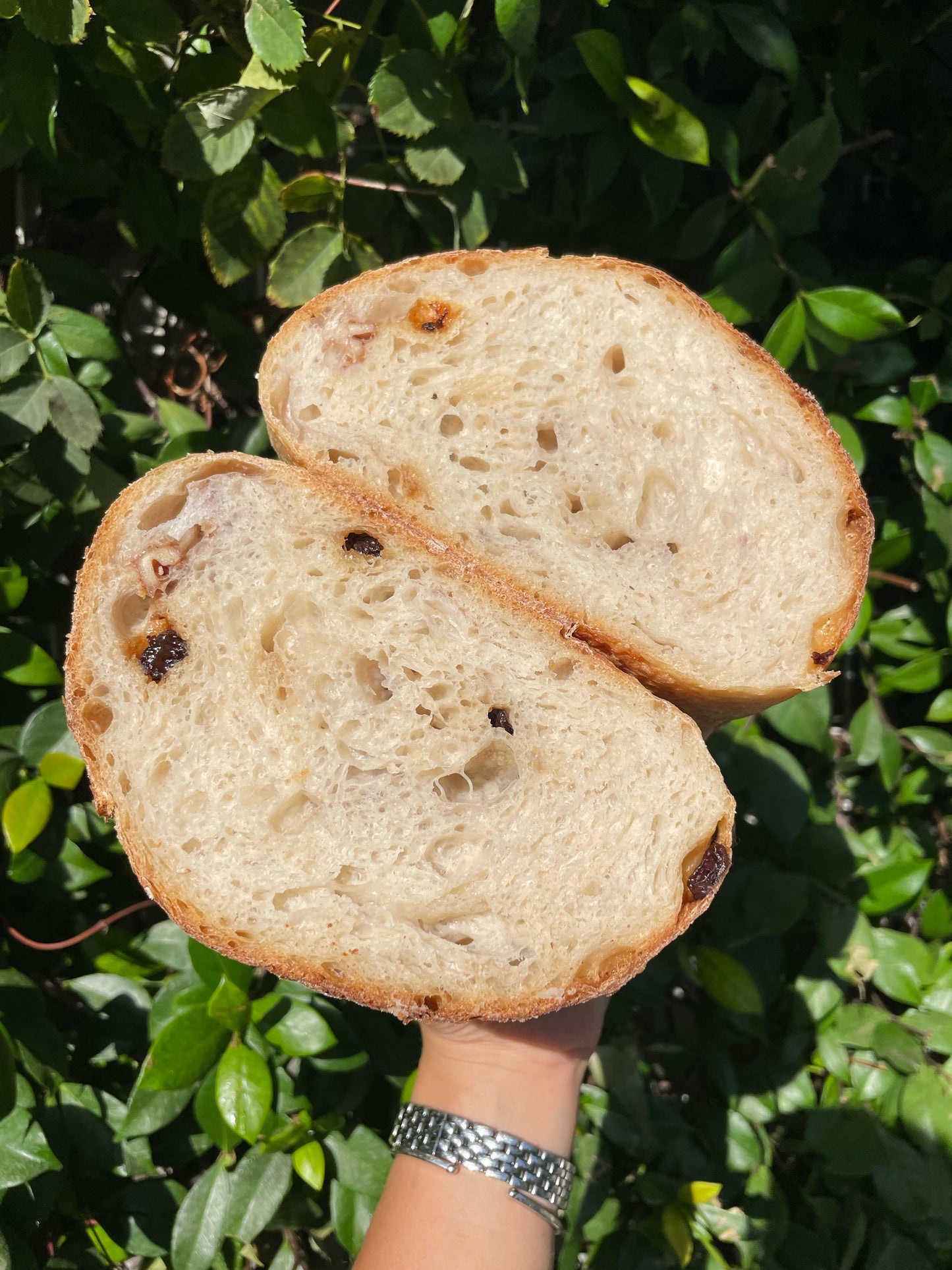 לחם טל - משמש ואגוזי מלך